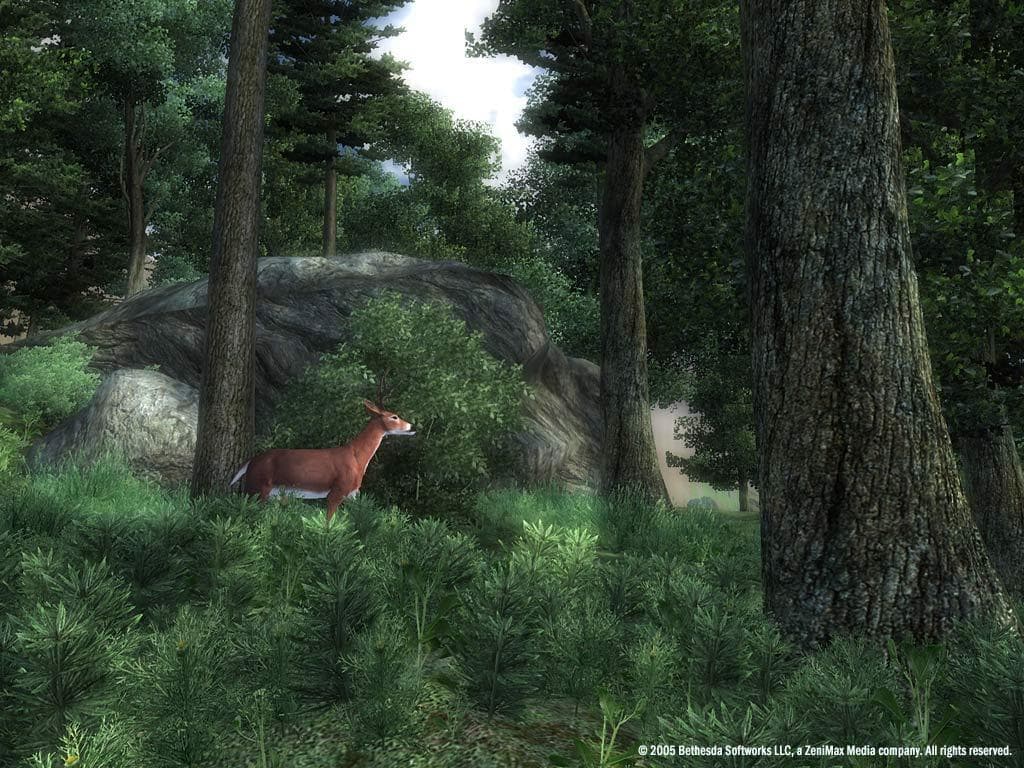 Product screenshot 14