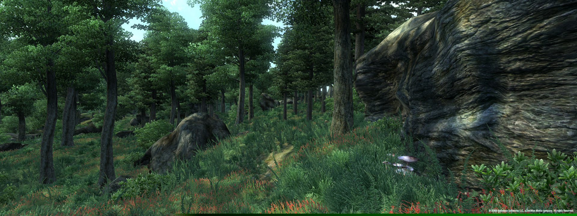Product screenshot 2
