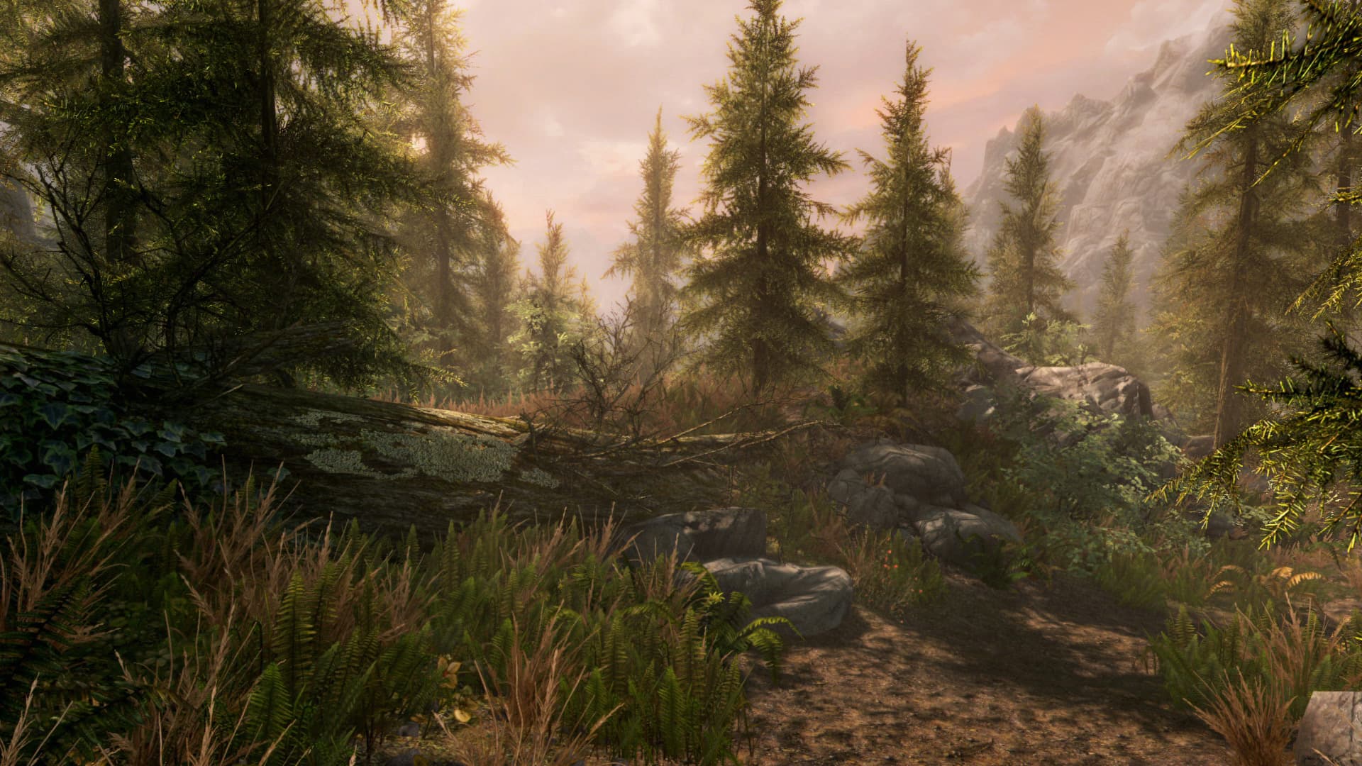 Product screenshot 7