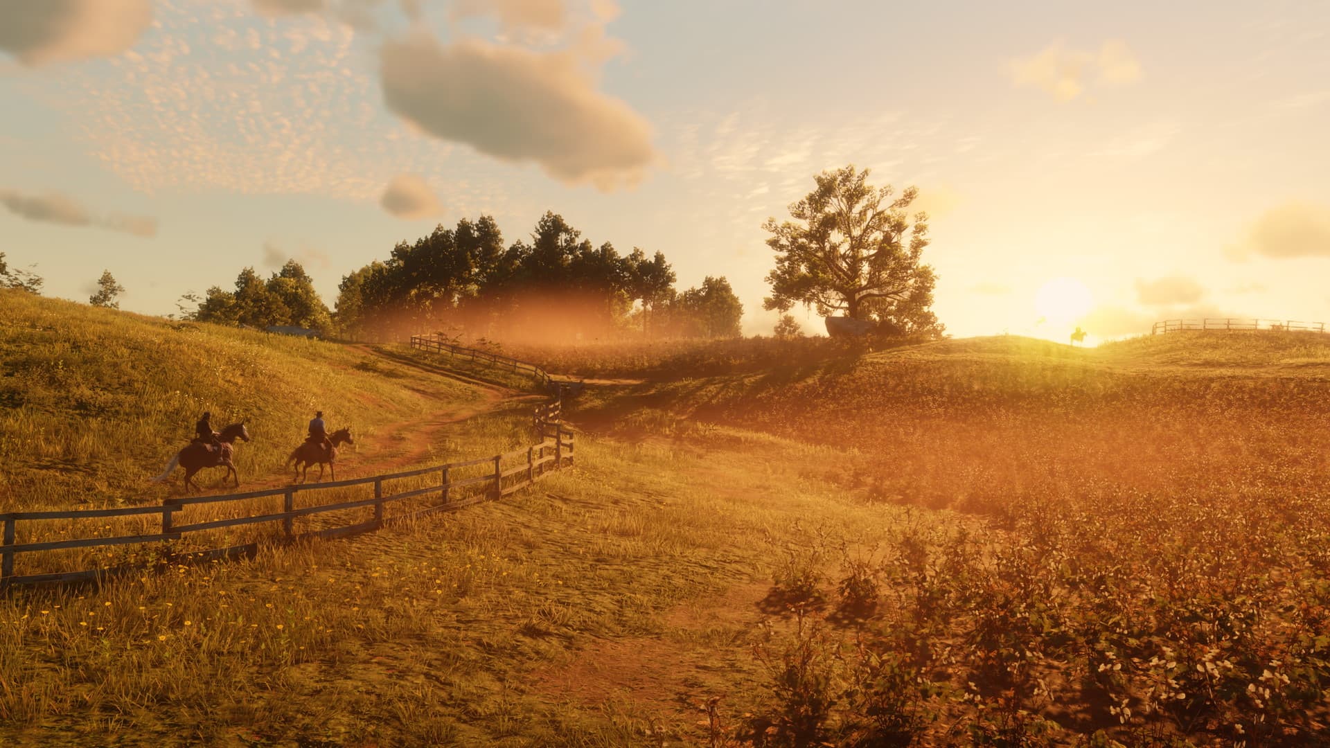 Product screenshot 5